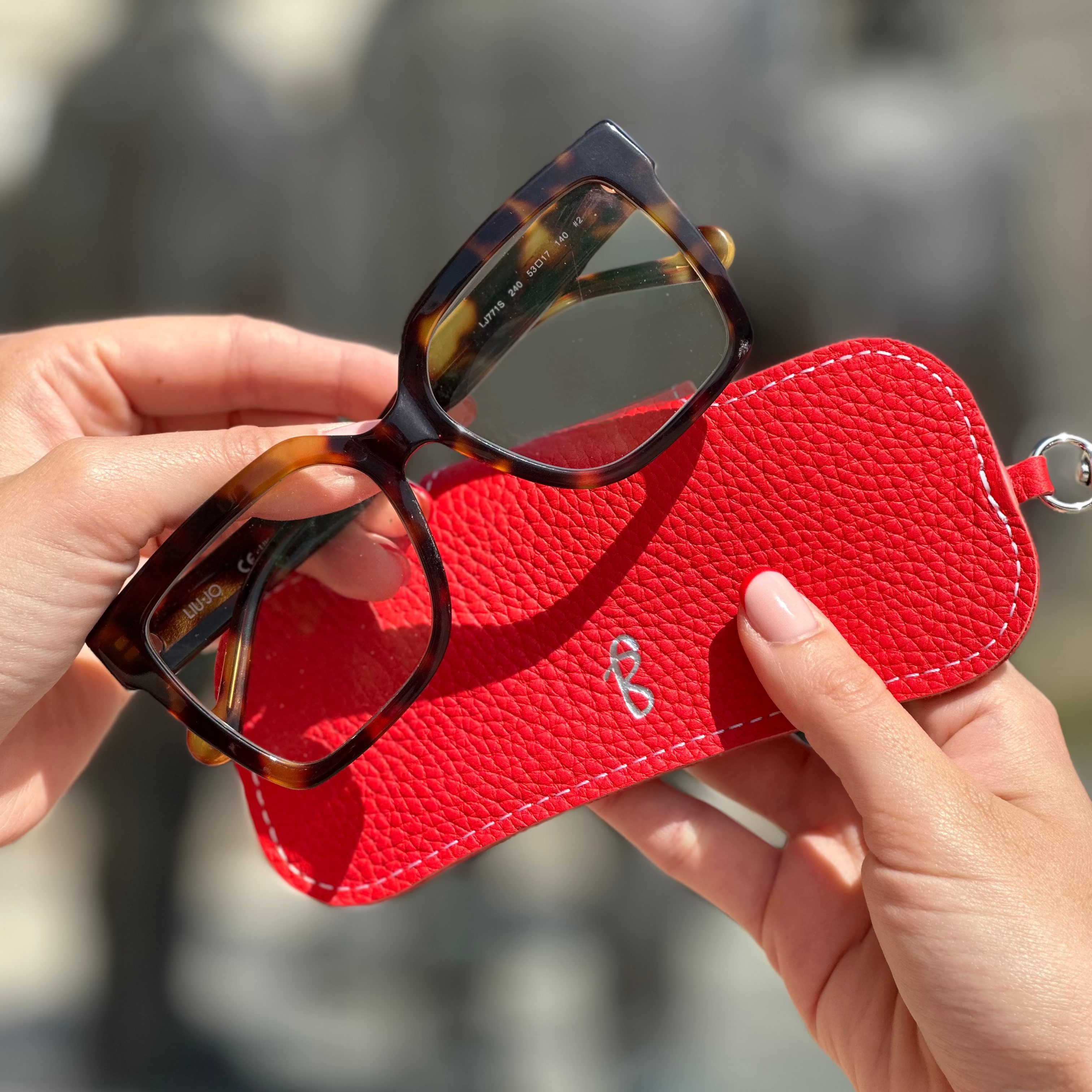Etui-lunettes-bandas-a-Condom